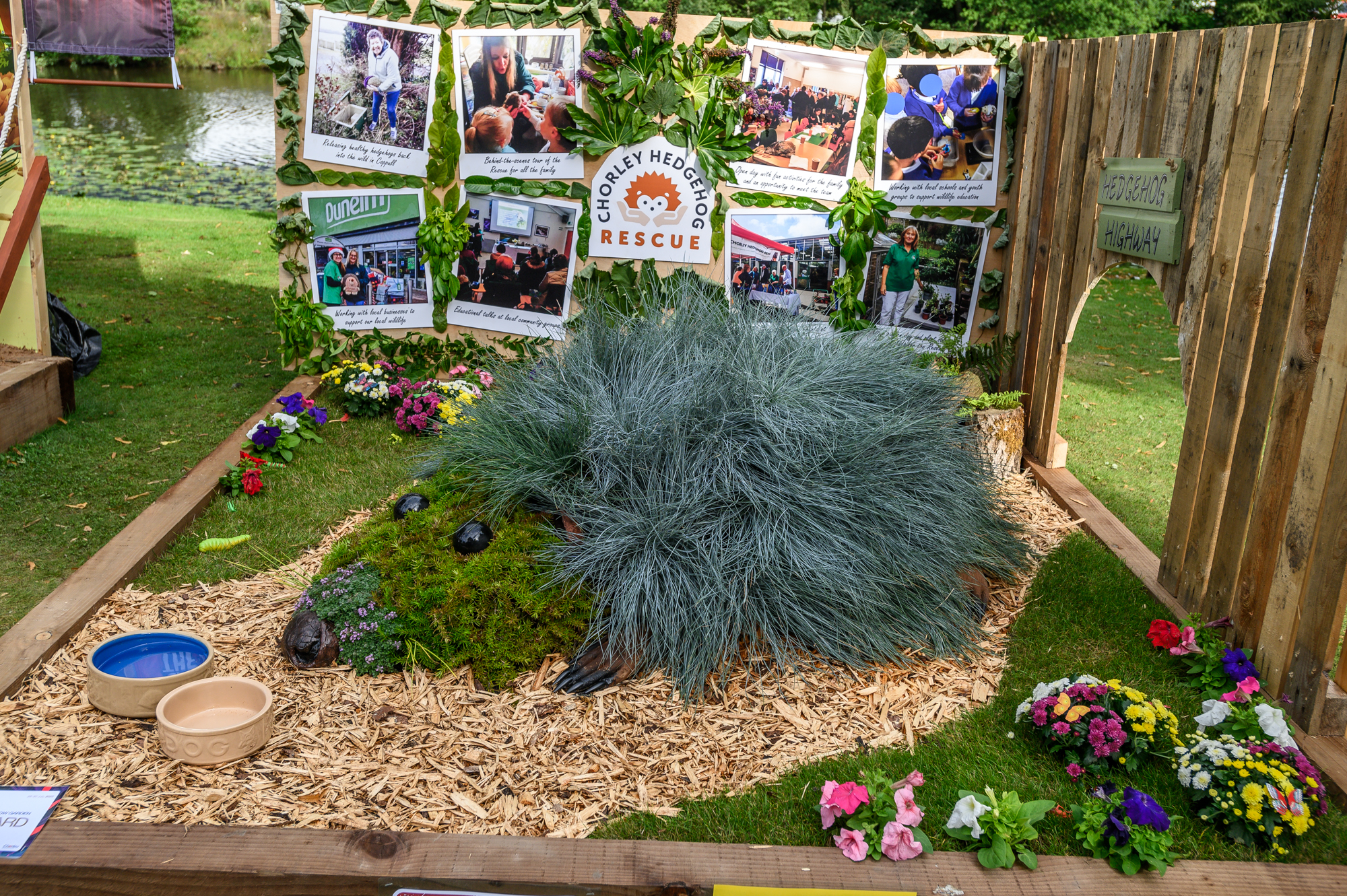 Community Garden Photo